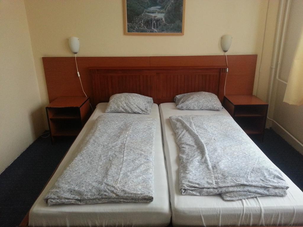 Carmen Pension Budapest Rum bild